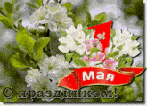 a greeting card with flowers and a red ribbon that says may on it
