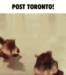Alvin And The Chipmunks Toronto GIF - Alvin And The Chipmunks Toronto Simon GIFs