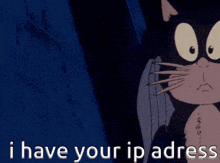 a cartoon cat is saying " i have your ip address "