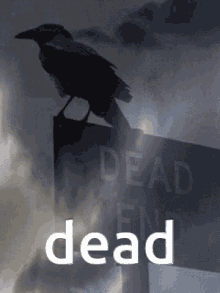 Dead End Crow GIF