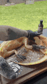 Alligator Alligator Cook GIF - Alligator Alligator Cook Cooked Alligator GIFs