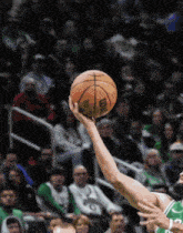Celtics Basketball Celtics 2024 GIF - Celtics Basketball Celtics 2024 GIFs
