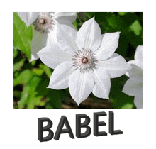 Babel GIF - Babel GIFs