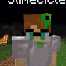 Slimecicle Charlie GIF - Slimecicle Charlie Minecraft GIFs