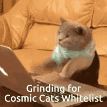 Cosmiccat GIF - Cosmiccat GIFs