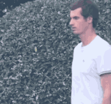 Andy Murray Catch GIF - Andy Murray Catch Impressed GIFs