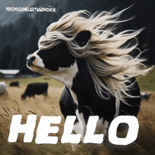 a picture of a cow with long hair and the word hello under it