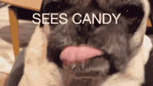 Candy GIF - Candy GIFs