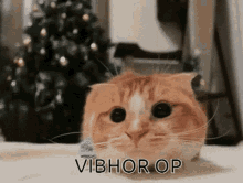 Vibhor GIF - Vibhor GIFs