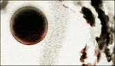 a white background with a red circle in the center