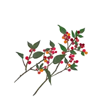 a merry christmas card with a drawing of berries and leaves