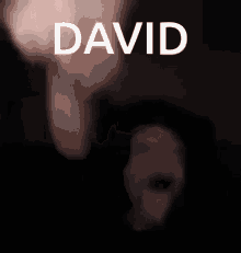 David David Turlans GIF - David David Turlans Ham Ranch GIFs