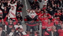 a mascot for the carolina hurricanes stands in front of a crowd of fans