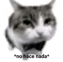 a black and white photo of a cat with a bow tie and the words `` no hace nada '' written below it .