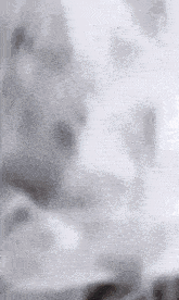 a blurred image of a person 's face with a white background .