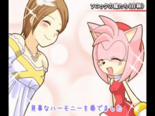 Sonic Sonic The Hedgehog GIF - Sonic Sonic The Hedgehog Princess Elise GIFs