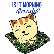 Purrlene The Cat Good Morning Cat GIF - Purrlene The Cat Good Morning Cat Cat GIFs