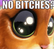No Bitches Cat GIF - No Bitches Cat Puss In Boots GIFs