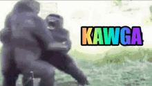 Kawga Kawgagoril GIF - Kawga Kawgagoril Kavga GIFs