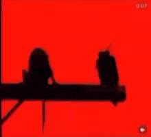 a silhouette of two monkeys standing on a pole .