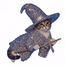 a cat dressed in a witch costume is holding a broom