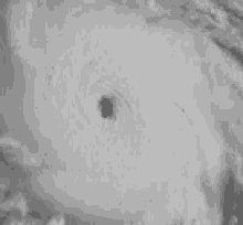 Hurricane Eyeofthestorm GIF - Hurricane Eyeofthestorm GIFs