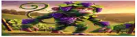 a monkey with purple grapes on its head is standing in a field .