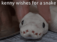 a person petting a white snake with the words kenny wishes for a snake above it