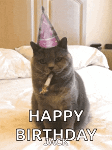 Happy Birthday Celebrate GIF - Happy Birthday Celebrate Cat GIFs
