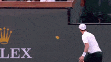 Andy Murray What GIF - Andy Murray What Wtf GIFs