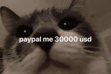 Bglamours Paypal Me 30000 Usd GIF