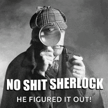No Shit Sherlock GIF - No Shit Sherlock Genius GIFs