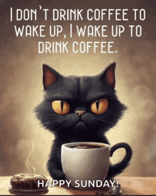 a black cat is sitting next to a cup of coffee and a cake