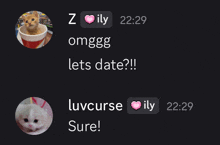 a screenshot of a chat between z ily omggg lets date and luvcurse sure
