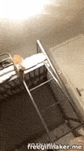 a cat is sitting on top of an ironing board in a laundry room .