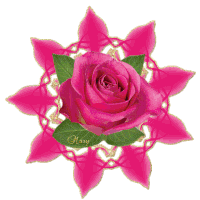 Rose Roses Sticker - Rose Roses Pink Roses Stickers