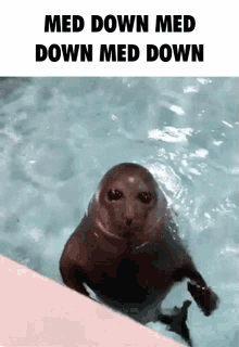 Tf2 Med Down GIF - Tf2 Med Down Comp GIFs