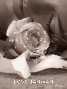 Flowers Love GIF - Flowers Love Valentines Day GIFs