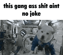 Gang Gang Shit GIF - Gang Gang Shit Aint No Joke GIFs