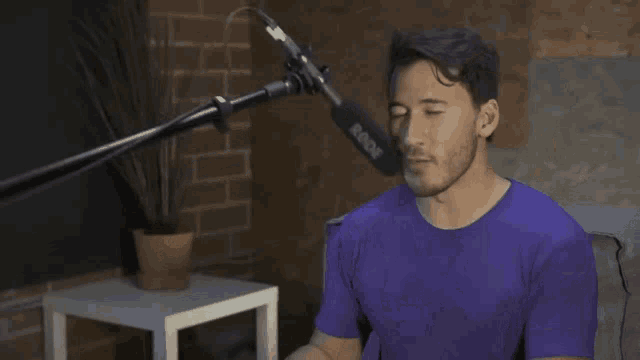 markiplier-getting-attacked-by-his-mic.g