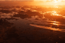 a sunset over a river with birds flying over it