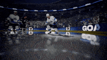 a hockey game is being played in a stadium with a goal banner in the background