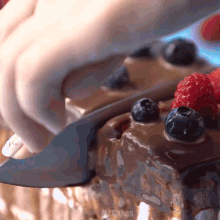 a close up of a person cutting a cake that says mr.cakes on the bottom right