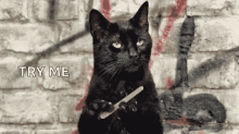 Tell Me More Salem GIF - Tell Me More Salem Try Me GIFs