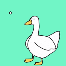 You Are My Everything Duck GIF - You Are My Everything Duck I Love You GIFs