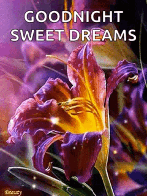 Good Night Sweet Dreams GIF - Good Night Sweet Dreams Sparkles ...