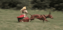 Dogs Chariot GIF - Dogs Chariot King GIFs
