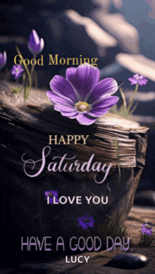 a picture of purple flowers with the words " happy saturday i love you lucy "