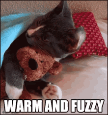 warm fuzzy