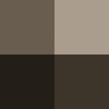 a palette of four different shades of brown .